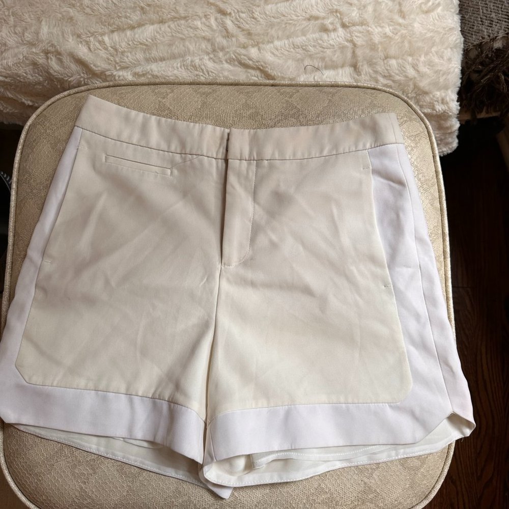Zara Basic Label Cream Pleat Skirt